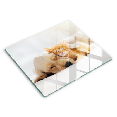 Edzett üveg vágódeszka 60x52 cm Állatok kutya és macska