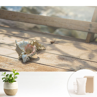 Tapéta Egy kagyló egy fapadon