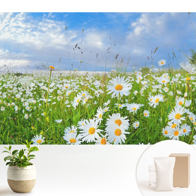 Modern tapéta Egy virágos rét nyáron
