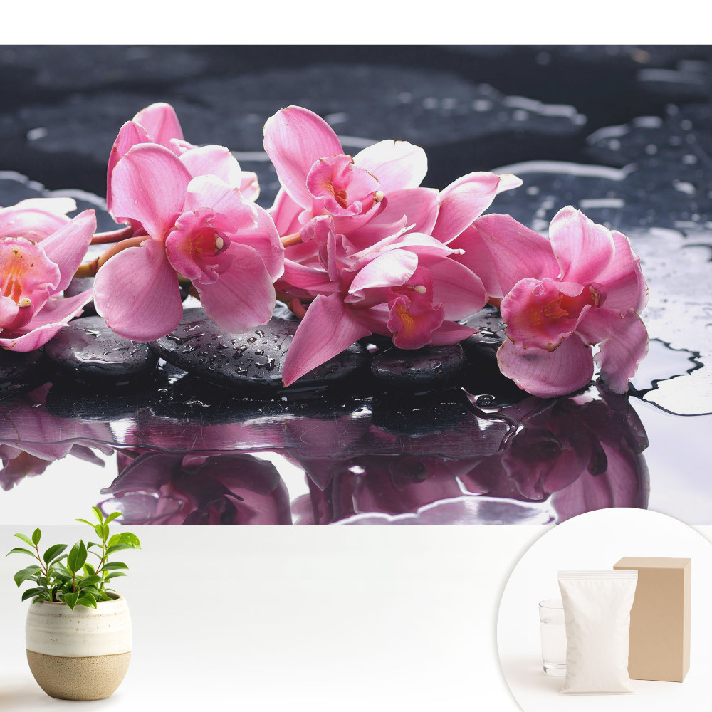 Dekor tapéta Rózsaszín orchideák köveken