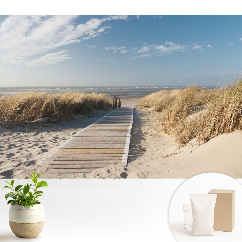 Modern tapéta Tengerparti ösvény a dűnék között
