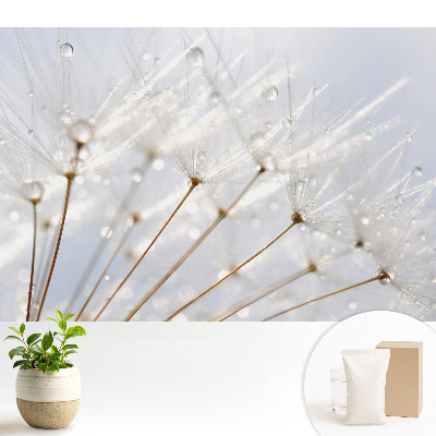 Dekor tapéta Pitypang harmatcseppekkel