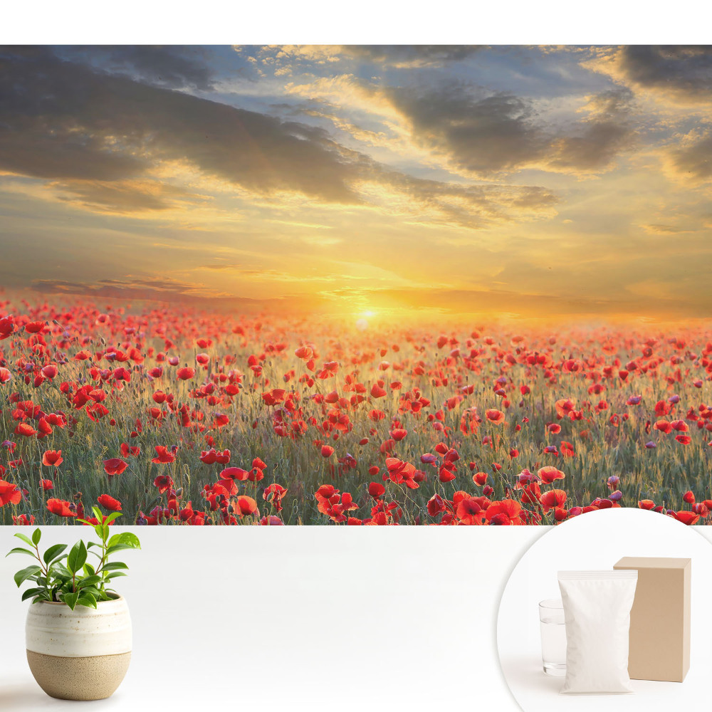 Modern tapéta Pipacsmező reggel, lenyűgöző naplemente