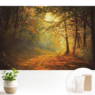 Dekor tapéta Az őszi erdő varázsa