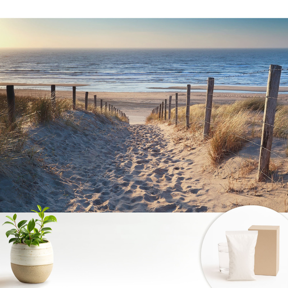 Tapéta Ösvény a dűnéken keresztül a tengerhez