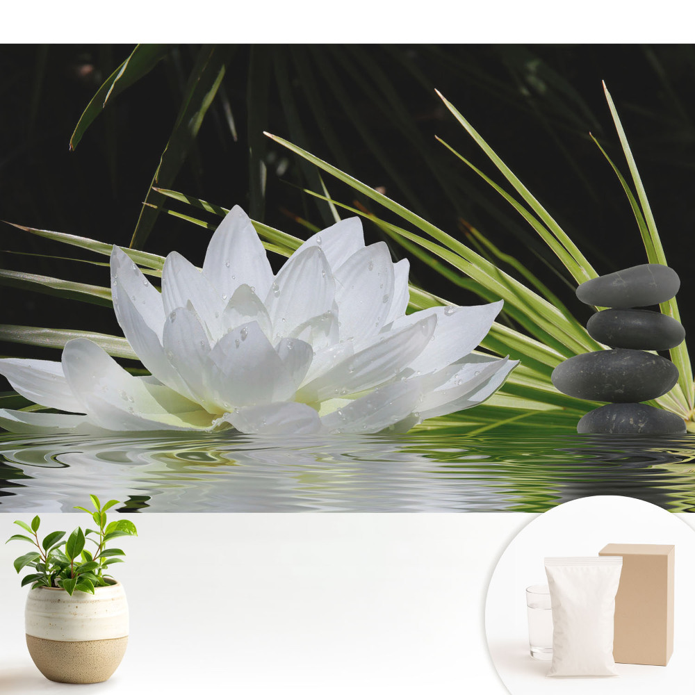 Dekor tapéta Fehér liliomkövek meditációja