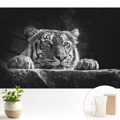 Modern tapéta Tigris fekete-fehérben