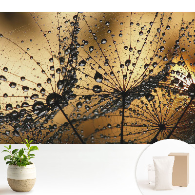 Dekor tapéta Elegáns cseppek a hálón a fényben