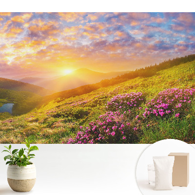 Dekor tapéta Naplemente hegyek virágok