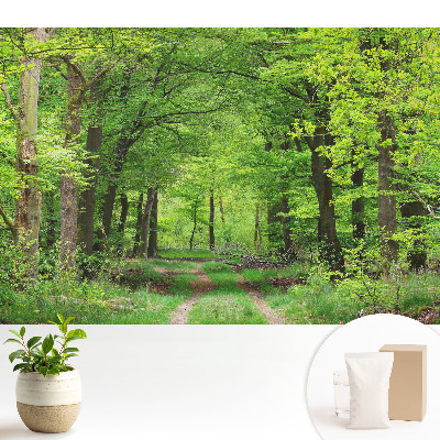Tapéta Zöld erdő harmonikus táj