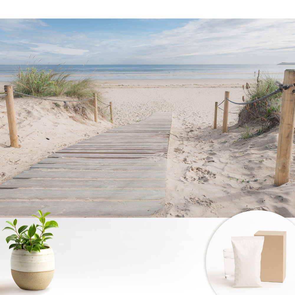 Dekor tapéta Bejárat a dűnék között elterülő strandra