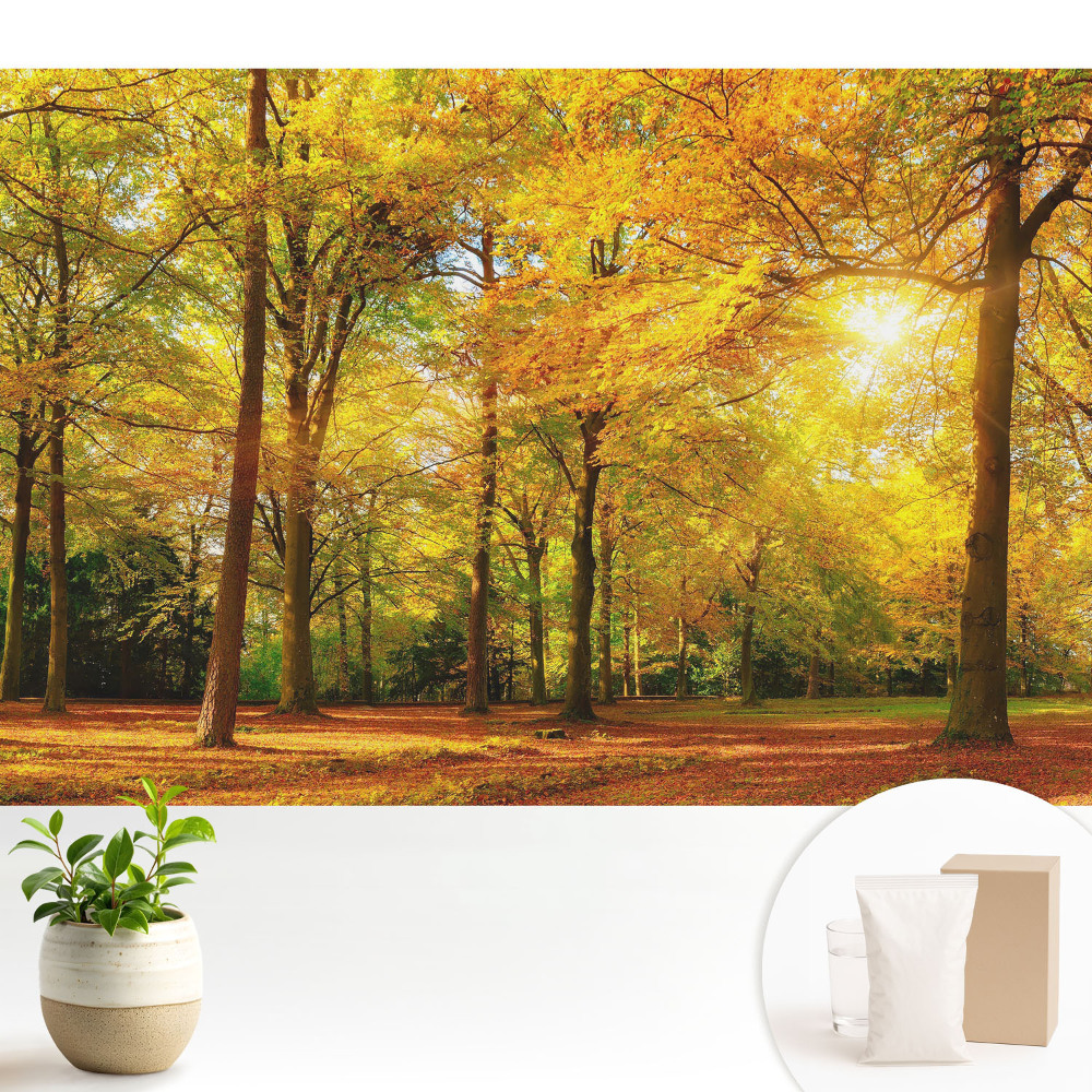 Dekor tapéta Őszi panoráma az erdőről, tele színes levelekkel
