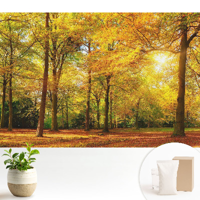 Dekor tapéta Őszi panoráma az erdőről, tele színes levelekkel