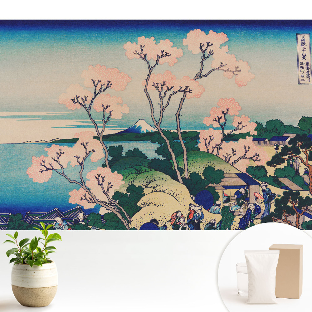 Modern tapéta Japán táj tavaszi varázsa