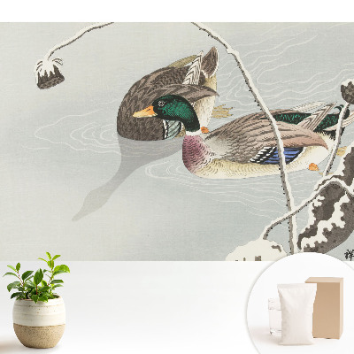 Tapéta Két kacsa a vízen klasszikus stílusban