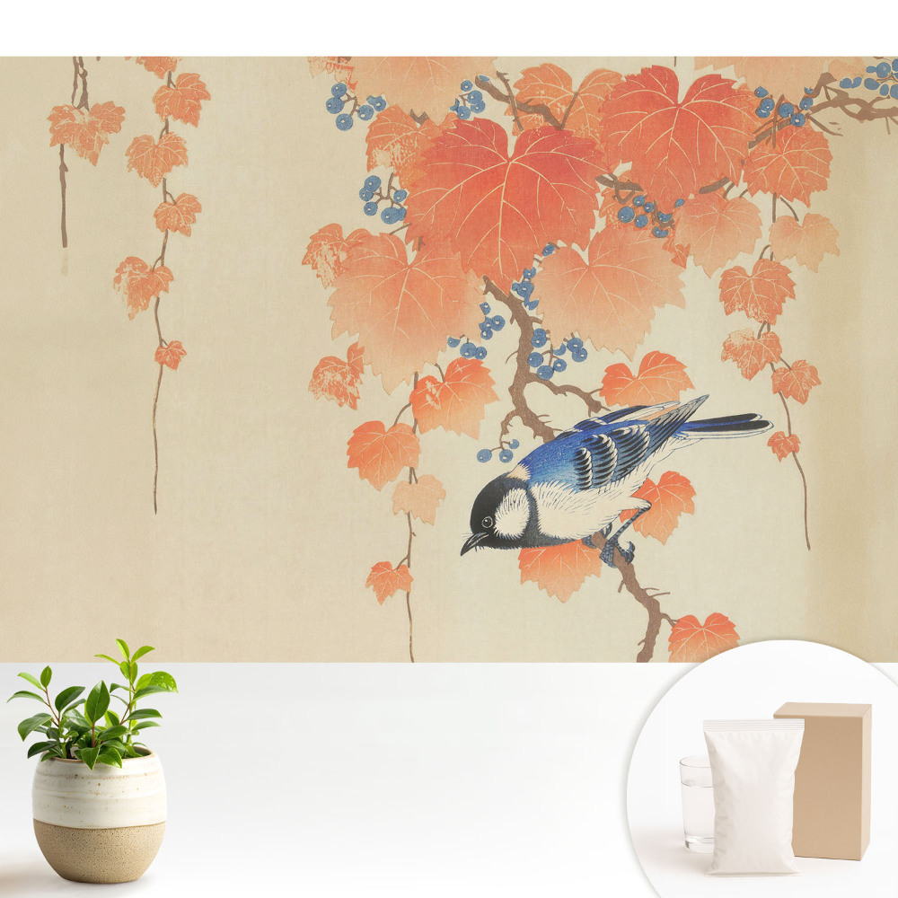 Modern tapéta Egy madár egy szőlőágon bogyókkal