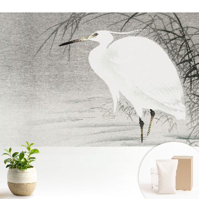 Modern tapéta Gém a nádas hátterében