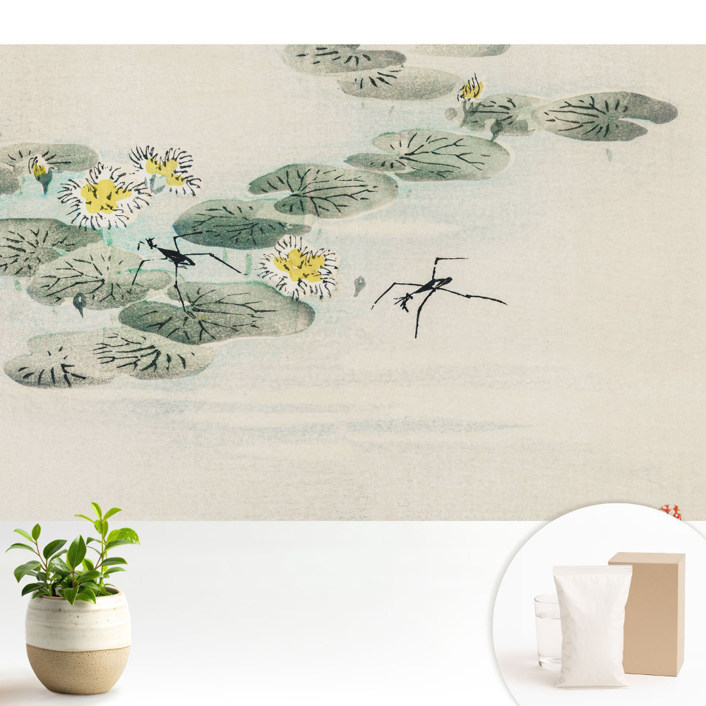 Dekor tapéta Tavirózsák a víz ellen