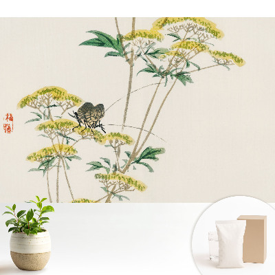 Dekor tapéta Finom virágok rovar harmónia természet