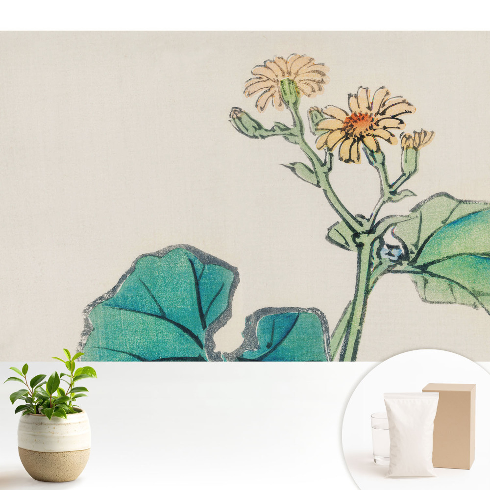 Modern tapéta Egy finom virág zöld levelek hátterében