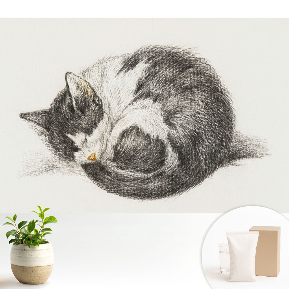 Dekor tapéta Alvó cica központi illusztráció