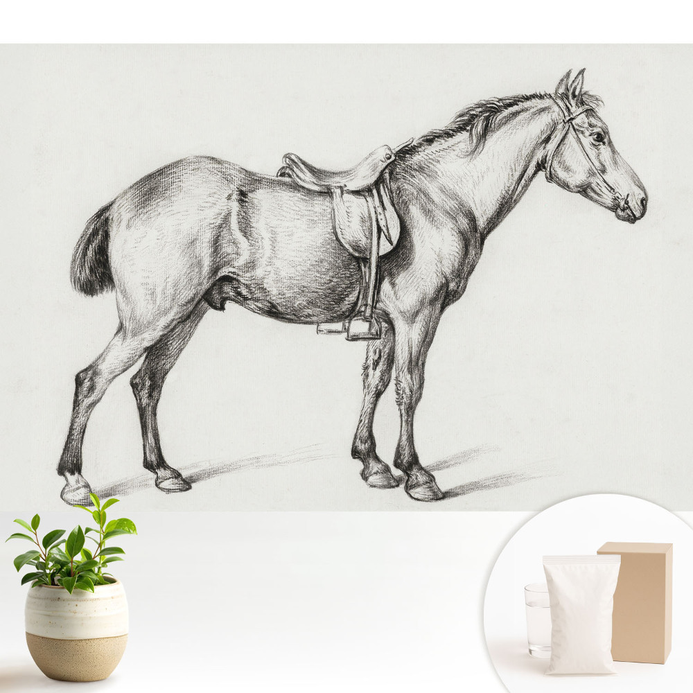 Tapéta Realisztikus ló nyereggel