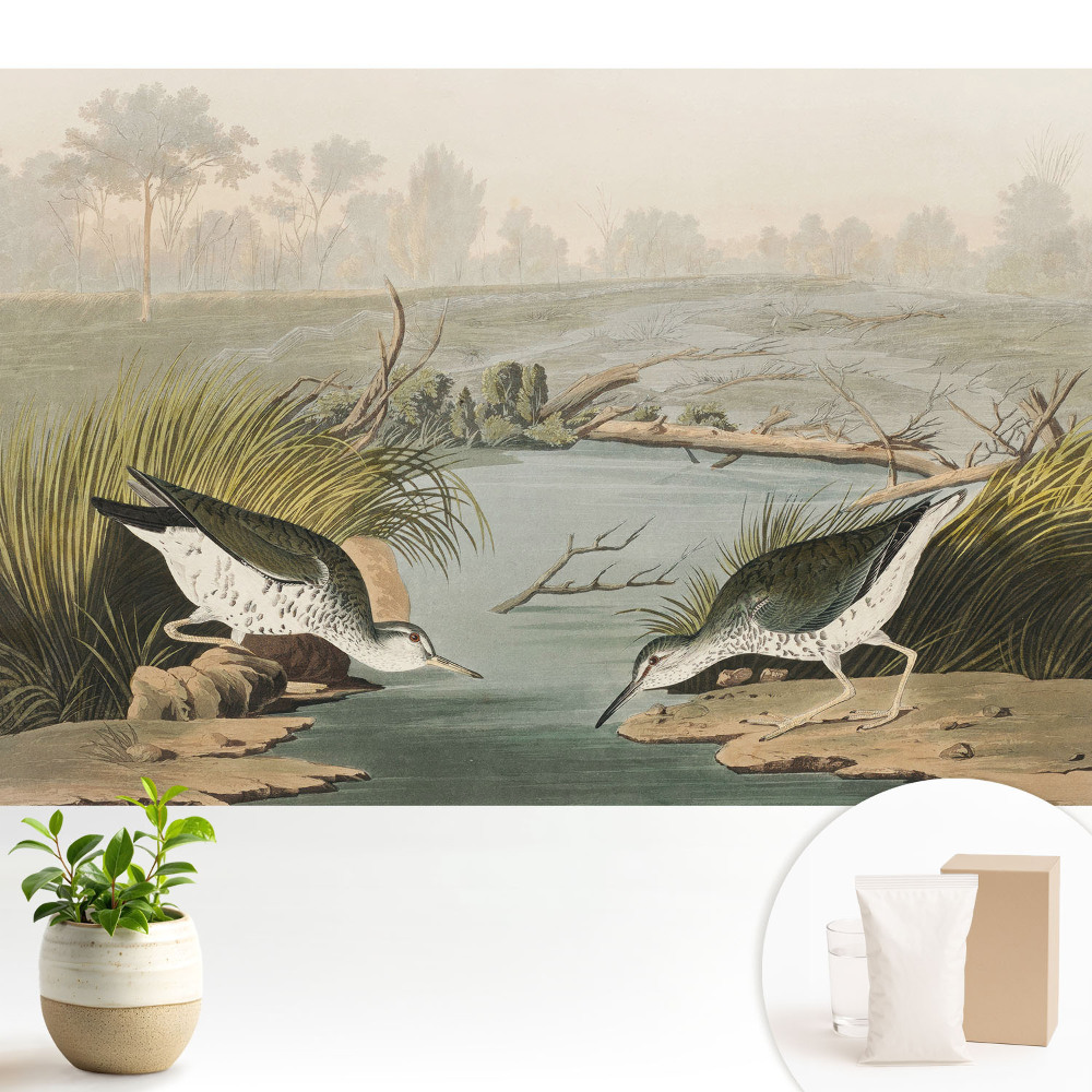 Modern tapéta Madarak a tóparton, a természet harmóniája