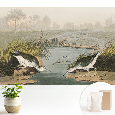 Modern tapéta Madarak a tóparton, a természet harmóniája