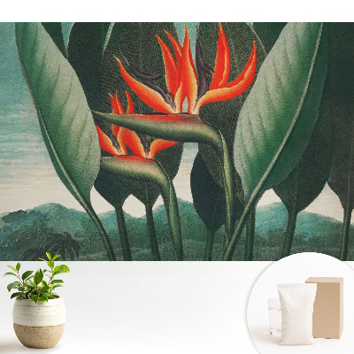 Tapéta Egzotikus növények zöld háttér előtt