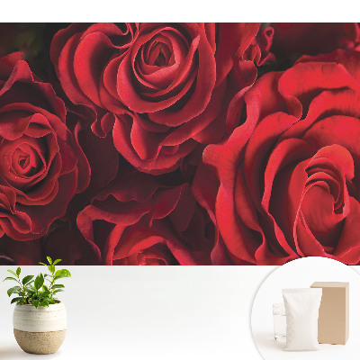 Tapéta Harmonikusan elegáns vörös rózsák