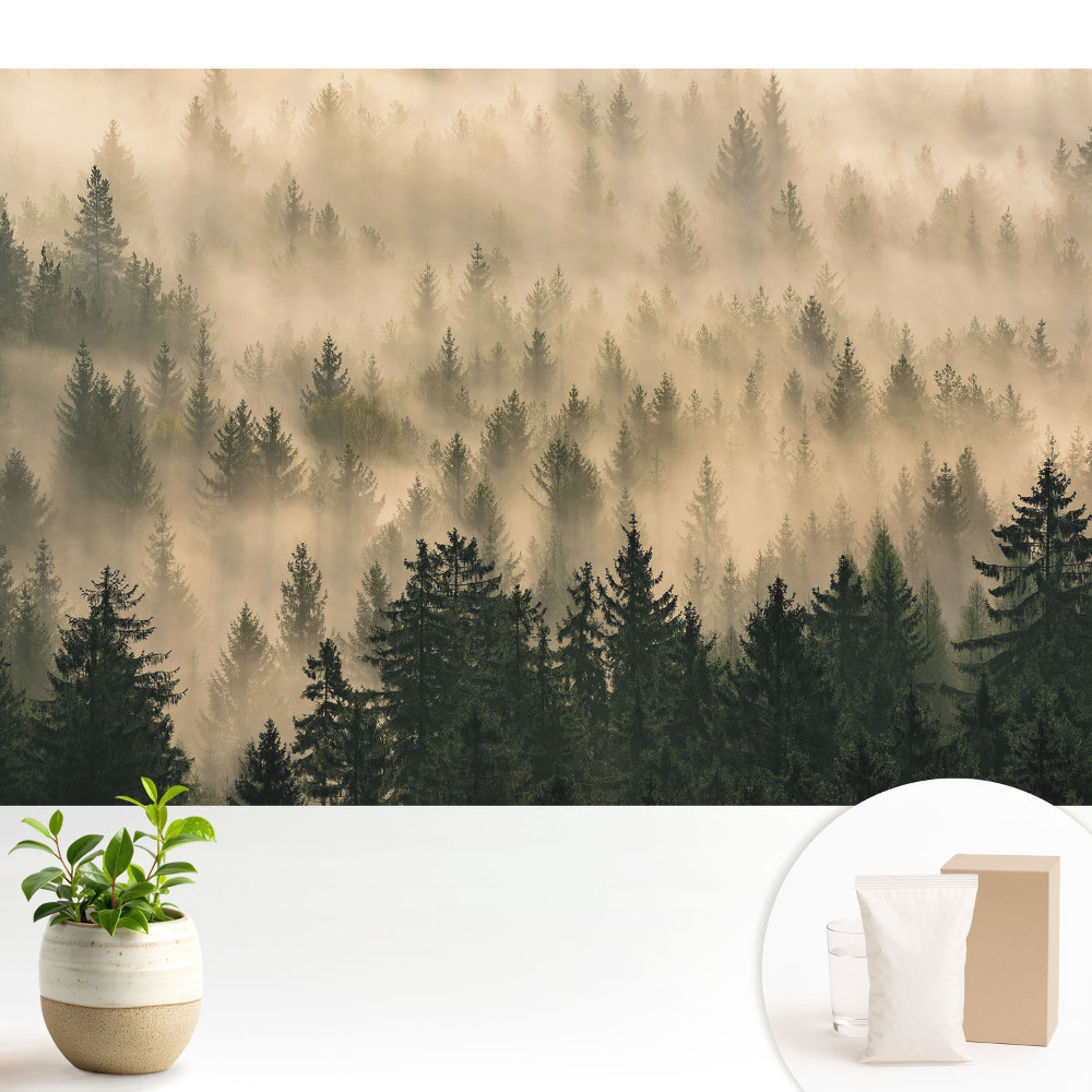 Modern tapéta Erdő a reggeli ködben