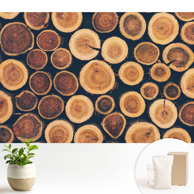 Dekor tapéta Rusztikus fa természetes szimmetria