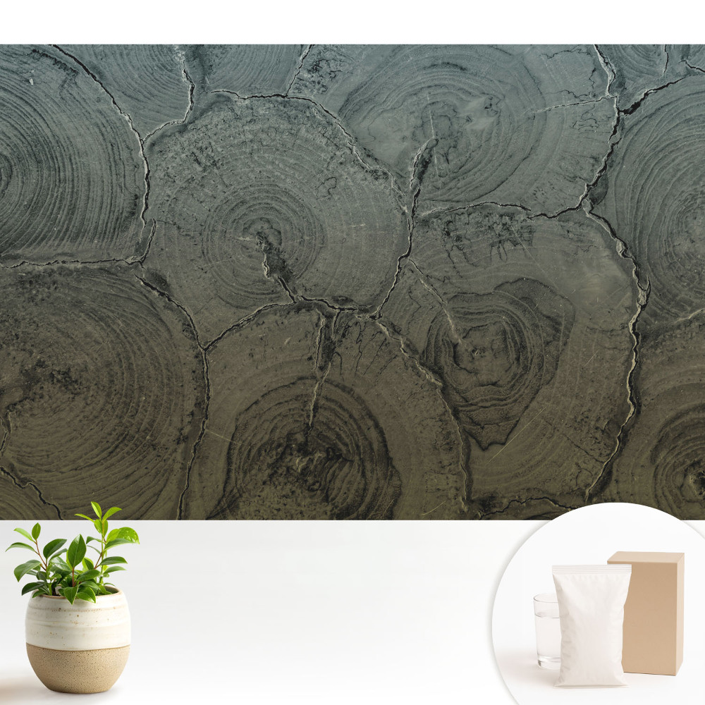 Dekor tapéta Szürke faerezetes klasszikus minta