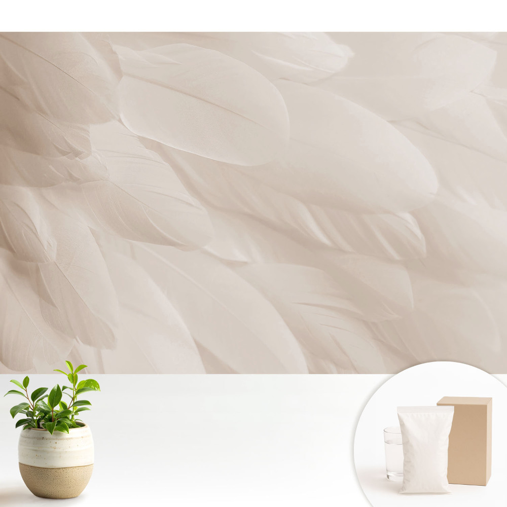 Tapéta Finom tollak harmonikus kompozíciója