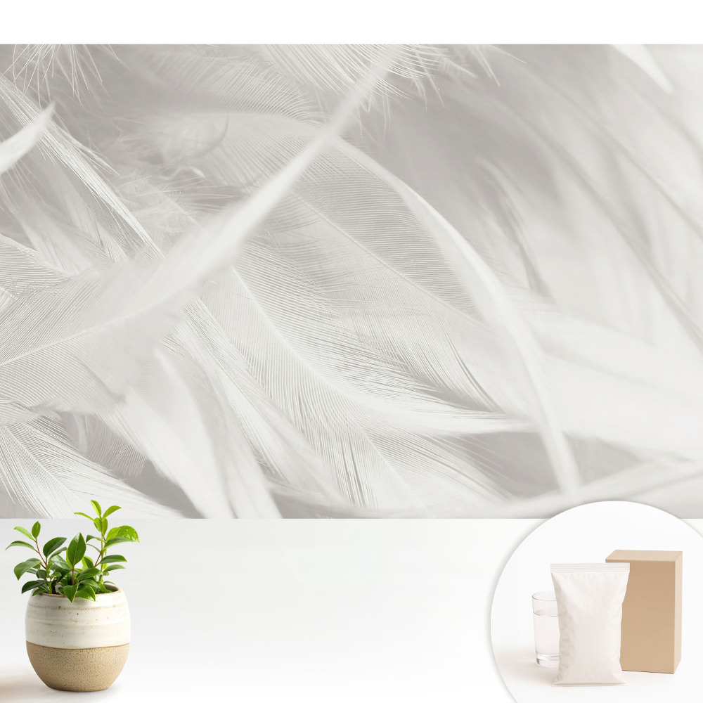 Modern tapéta Pihe-fehér tollak