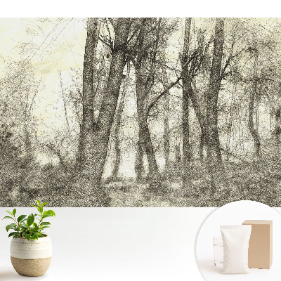 Dekor tapéta Az erdő hangulatos tája