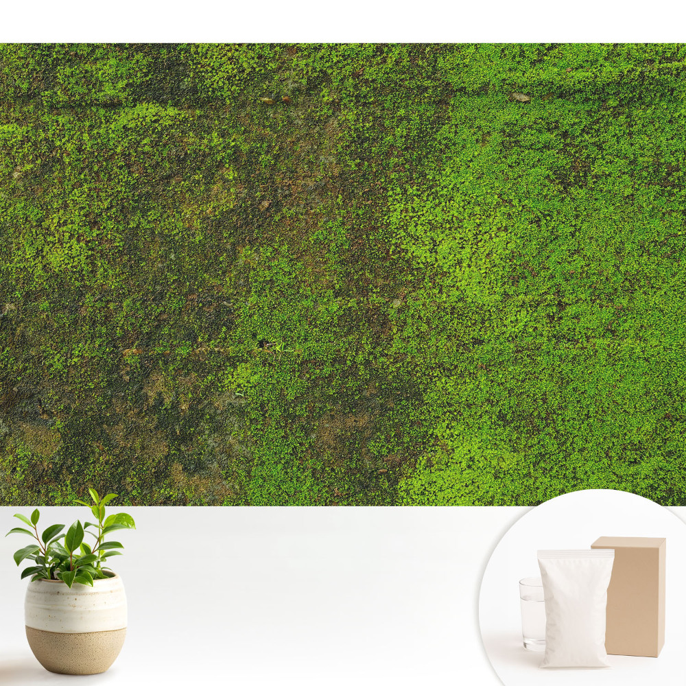 Tapéta Moha szerves textúra