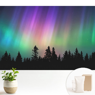 Modern tapéta Aurora borealis az erdő felett