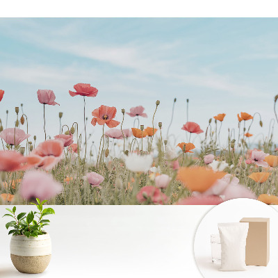 Tapéta Színes pipacsok a kék ég ellen