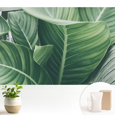 Modern tapéta Zöld levelek természet harmónia modernitás