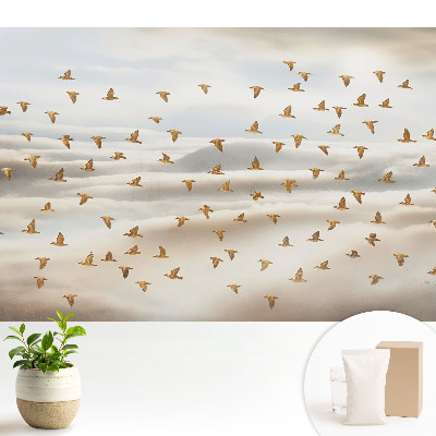 Dekor tapéta Madarak repülnek a felhőkben