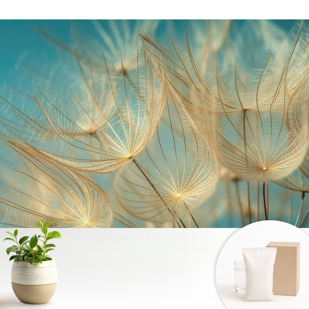 Tapéta A természet finomsága, a harmonikus minta, a finomság