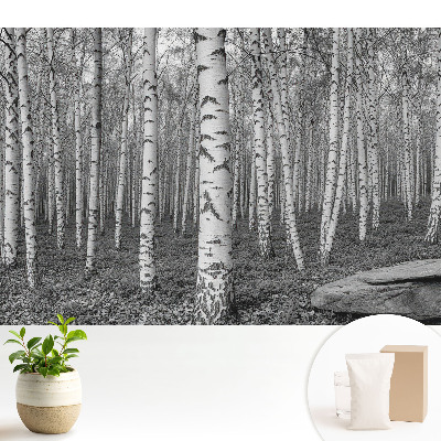 Modern tapéta Nyírerdő, a természet harmóniájának békéje