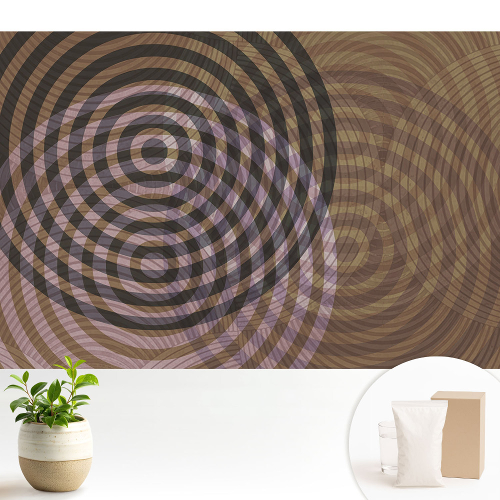 Dekor tapéta Koncentrikus körök retro modern