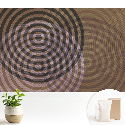 Dekor tapéta Koncentrikus körök retro modern