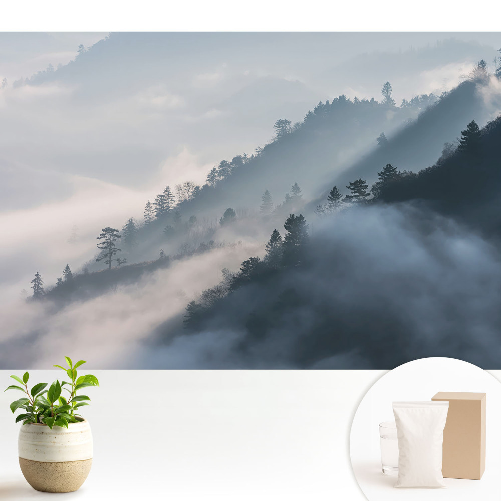 Dekor tapéta Felhős táj, hegyek és fák