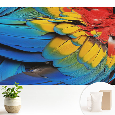 Modern tapéta Színes tollak energikus mozaikja