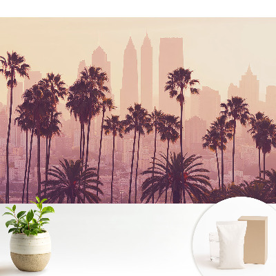 Modern tapéta Hangulatos pálmafák naplementekor