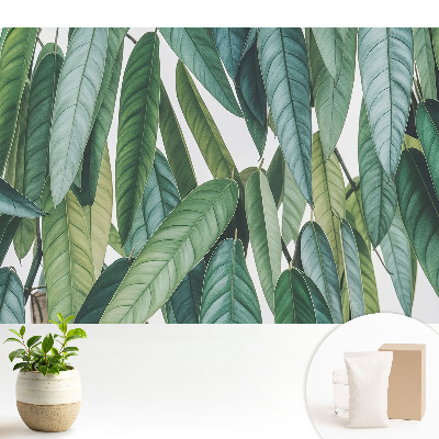 Modern tapéta Zöld levelek minimalizmus természet
