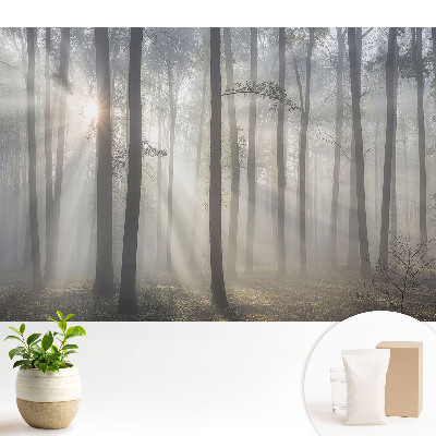 Modern tapéta Reggeli béke a fák között